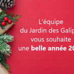 bonne année 2025 2