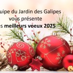 bonne année 2025